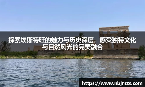 有梦你就来